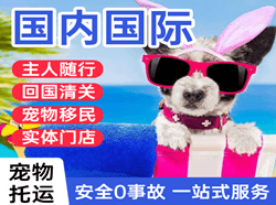 无锡硕放航空快运国际宠物托运 【国